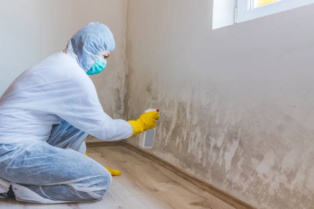 Licensed Crawl Space Mold Removal service in East Petersburg, PA - WQB Mold Removal
