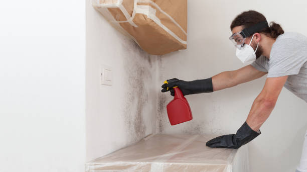 Professional Crawl Space Mold Removal technician working in East Petersburg, PA